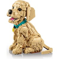 Конструктор LEGO Icons 11384 Щенок золотистого ретривера - Превью изображения №7 — Интернет-магазин ПроЗаказ