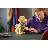 Конструктор LEGO Icons 11384 Щенок золотистого ретривера - Превью изображения №10 — Интернет-магазин ПроЗаказ