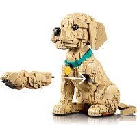 Конструктор LEGO Icons 11384 Щенок золотистого ретривера - Превью изображения №6 — Интернет-магазин ПроЗаказ
