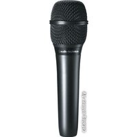 Audio-Technica AT2010