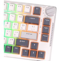 Клавиатура Royal Kludge RK-H81 RGB White Night (RK Blue) - Превью изображения №4 — Интернет-магазин ПроЗаказ