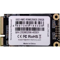 AMD Radeon R5 256GB R5MS256G5