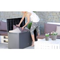 Сундук Prosperplast Boxe Rato Plus MBRP290 S433 (антрацит) - Превью изображения №2 — Интернет-магазин ПроЗаказ