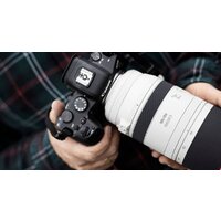 Объектив Canon RF 100-500mm f/4.5-7.1 L IS USM - Превью изображения №7 — Интернет-магазин ПроЗаказ