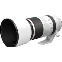 Объектив Canon RF 100-500mm f/4.5-7.1 L IS USM - Превью изображения №6 — Интернет-магазин ПроЗаказ