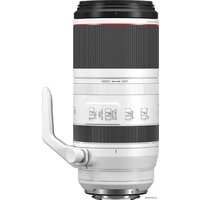 Объектив Canon RF 100-500mm f/4.5-7.1 L IS USM - Превью изображения №4 — Интернет-магазин ПроЗаказ