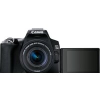 Зеркальный фотоаппарат Canon EOS 250D Kit 18-55 IS STM (черный) - Превью изображения №3 — Интернет-магазин ПроЗаказ