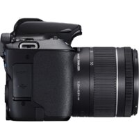 Зеркальный фотоаппарат Canon EOS 250D Kit 18-55 IS STM (черный) - Превью изображения №8 — Интернет-магазин ПроЗаказ
