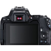Зеркальный фотоаппарат Canon EOS 250D Kit 18-55 IS STM (черный) - Превью изображения №5 — Интернет-магазин ПроЗаказ