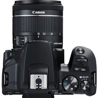 Зеркальный фотоаппарат Canon EOS 250D Kit 18-55 IS STM (черный) - Превью изображения №9 — Интернет-магазин ПроЗаказ