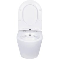 Унитаз подвесной Roxen Antares Bidet в комплекте с инсталляцией StounFix Dual Fresh 6 в 1 968099 (кнопка: брашированное золото) - Превью изображения №5 — Интернет-магазин ПроЗаказ