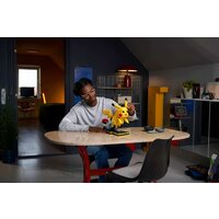 Конструктор LEGO Pokemon 72152 Пикачу и Покебол - Превью изображения №11 — Интернет-магазин ПроЗаказ