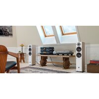 Напольная акустика DALI Oberon 5 Light Oak - Превью изображения №5 — Интернет-магазин ПроЗаказ