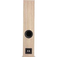 Напольная акустика DALI Oberon 5 Light Oak - Превью изображения №3 — Интернет-магазин ПроЗаказ