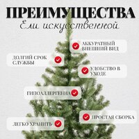 Пихта Erbis Jodla 220 - Превью изображения №5 — Интернет-магазин ПроЗаказ