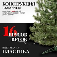 Пихта Erbis Jodla 220 - Превью изображения №4 — Интернет-магазин ПроЗаказ