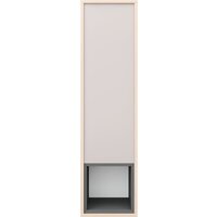 Шкаф распашной Аквилон Рэя №8.1 (туя светлый/кашемир) - Превью изображения №4 — Интернет-магазин ПроЗаказ