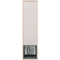 Шкаф распашной Аквилон Рэя №8.1 (туя светлый/кашемир) - Превью изображения №5 — Интернет-магазин ПроЗаказ