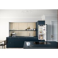 Однокамерный холодильник Liebherr IRBd 4150 Prime - Превью изображения №4 — Интернет-магазин ПроЗаказ
