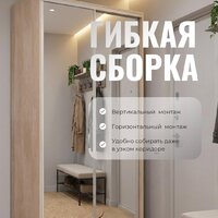 Шкаф-купе Рэйгрупп 138450 BBX Elgon РГ-11.04 (белый премиум/белый премиум/хром) - Превью изображения №12 — Интернет-магазин ПроЗаказ