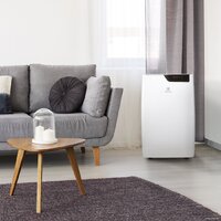 Мобильный кондиционер Electrolux Bliss Art EACM-09 GT/N6 - Превью изображения №11 — Интернет-магазин ПроЗаказ