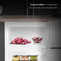 Холодильник Hyundai CT10021H (белый) - Превью изображения №5 — Интернет-магазин ПроЗаказ