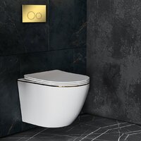 Унитаз подвесной Roxen Antares Gold в комплекте с инсталляцией StounFix Dual Fresh 6 в 1 968092 (кнопка: золото глянцевое ) - Превью изображения №10 — Интернет-магазин ПроЗаказ