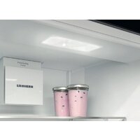 Холодильник Liebherr CNsfd 5204 Pure - Превью изображения №19 — Интернет-магазин ПроЗаказ