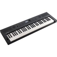 Синтезатор Roland Go:Keys 5 (графит) - Превью изображения №2 — Интернет-магазин ПроЗаказ