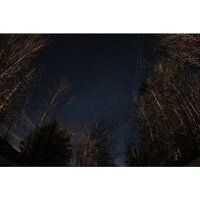 Объектив Sigma 15mm F1.4 DG DN DIAGONAL FISHEYE Art для Sony E - Превью изображения №15 — Интернет-магазин ПроЗаказ
