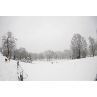 Объектив Sigma 15mm F1.4 DG DN DIAGONAL FISHEYE Art для Sony E - Превью изображения №10 — Интернет-магазин ПроЗаказ