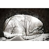 Объектив Sigma 15mm F1.4 DG DN DIAGONAL FISHEYE Art для Sony E - Превью изображения №11 — Интернет-магазин ПроЗаказ