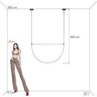 Подвесная люстра LOFT IT Liana 10221/2050 - Превью изображения №8 — Интернет-магазин ПроЗаказ