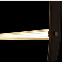 Подвесная люстра LOFT IT Liana 10221/2050 - Превью изображения №6 — Интернет-магазин ПроЗаказ