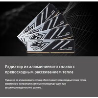 Оперативная память Apacer Panther 2x16ГБ DDR5 5600 МГц AH5U32G56C5227BAA-2 - Превью изображения №7 — Интернет-магазин ПроЗаказ