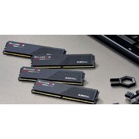 Оперативная память G.Skill Ripjaws S5 2x16ГБ DDR5 5600 МГц F5-5600J3636C16GX2-RS5K - Превью изображения №5 — Интернет-магазин ПроЗаказ