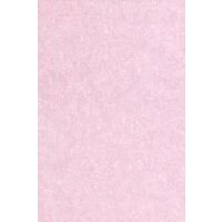 Рулонные шторы Lm Decor Жаккард LM 66-08 150x170 - Превью изображения №1 — Интернет-магазин ПроЗаказ