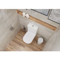 Унитаз напольный Lauter W76 P-TRAP 21122762 + гигиенический душ Infinity 21LT0103CH (горизонтальный выпуск) - Превью изображения №10 — Интернет-магазин ПроЗаказ