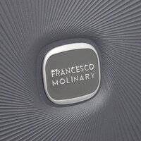 Чемодан-спиннер Francesco Molinary 344-168/2-24DGR (серый) - Превью изображения №13 — Интернет-магазин ПроЗаказ