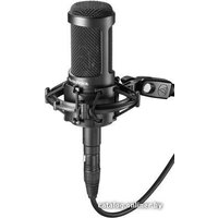 Audio-Technica AT2050