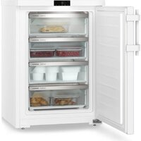 Морозильник Liebherr Fdi 1624 Plus - Превью изображения №5 — Интернет-магазин ПроЗаказ