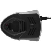 Зарядное устройство Tesla TCH20 (12В) - Превью изображения №2 — Интернет-магазин ПроЗаказ