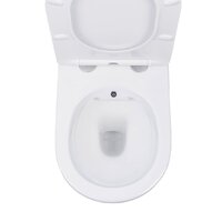 Унитаз подвесной Roxen Antares 530185-01X Rimless Soft Close с функцией биде - Превью изображения №16 — Интернет-магазин ПроЗаказ