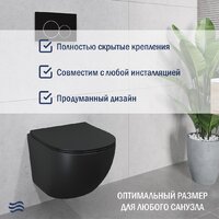 Унитаз подвесной Lauter Sulzdorf 21103001B+Solido 38811KF0 с кнопкой+панель 37131000 (прямоугольная, черный) - Превью изображения №5 — Интернет-магазин ПроЗаказ