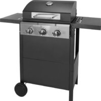 Fieldmann FZG 3003