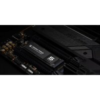 SSD GOODRAM IRDM Pro Gen. 5 4TB IRP-SSDPR-P54S-4K0-80 - Превью изображения №4 — Интернет-магазин ПроЗаказ