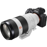 Объектив Sony FE 100-400mm F4.5-5.6 GM OSS [SEL100400GM] - Превью изображения №9 — Интернет-магазин ПроЗаказ