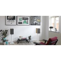 Полочная акустика DALI Oberon 3 Light Oak - Превью изображения №5 — Интернет-магазин ПроЗаказ