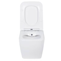 Унитаз подвесной Roxen Cube Bidet 530135-01X Rimless Soft Close с функцией биде - Превью изображения №9 — Интернет-магазин ПроЗаказ