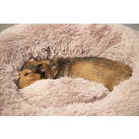 Лежак Beeztees Yali 716051 (бежевый) - Превью изображения №2 — Интернет-магазин ПроЗаказ